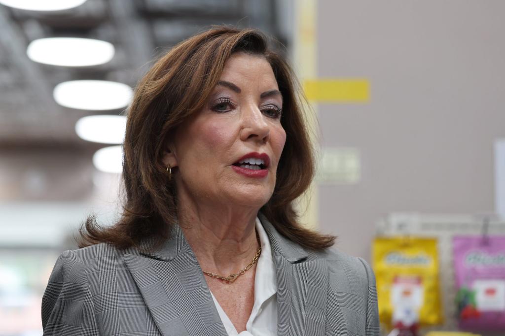 Hochul stabilizes New York’s mental health bed supply as deinstitutionalization era shifts