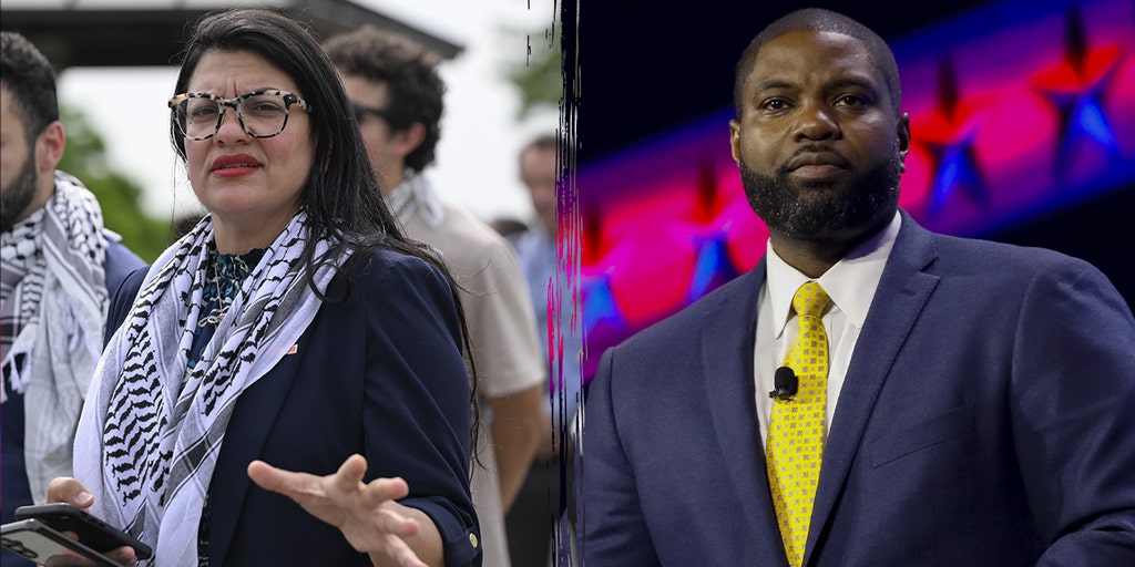 Donalds rebukes 'Squad' member over 'fascist' slur during DC crime hearing