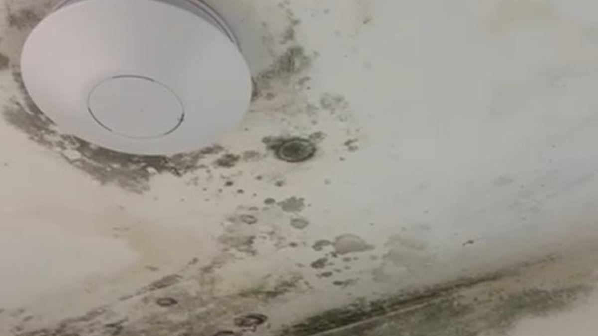 Experts warn buyers to 'flush the toilet' when inspecting newbuild homes after recurring defects