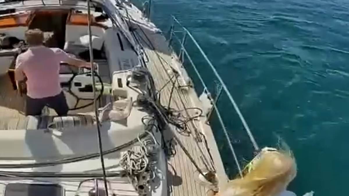 Norwegian sailors recount orca attack off Portugal, improvising with vinegar and engine revs to survive