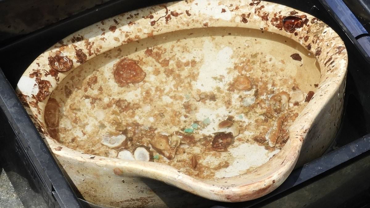 Britannic artifacts recovered from Titanic’s forgotten sister ship