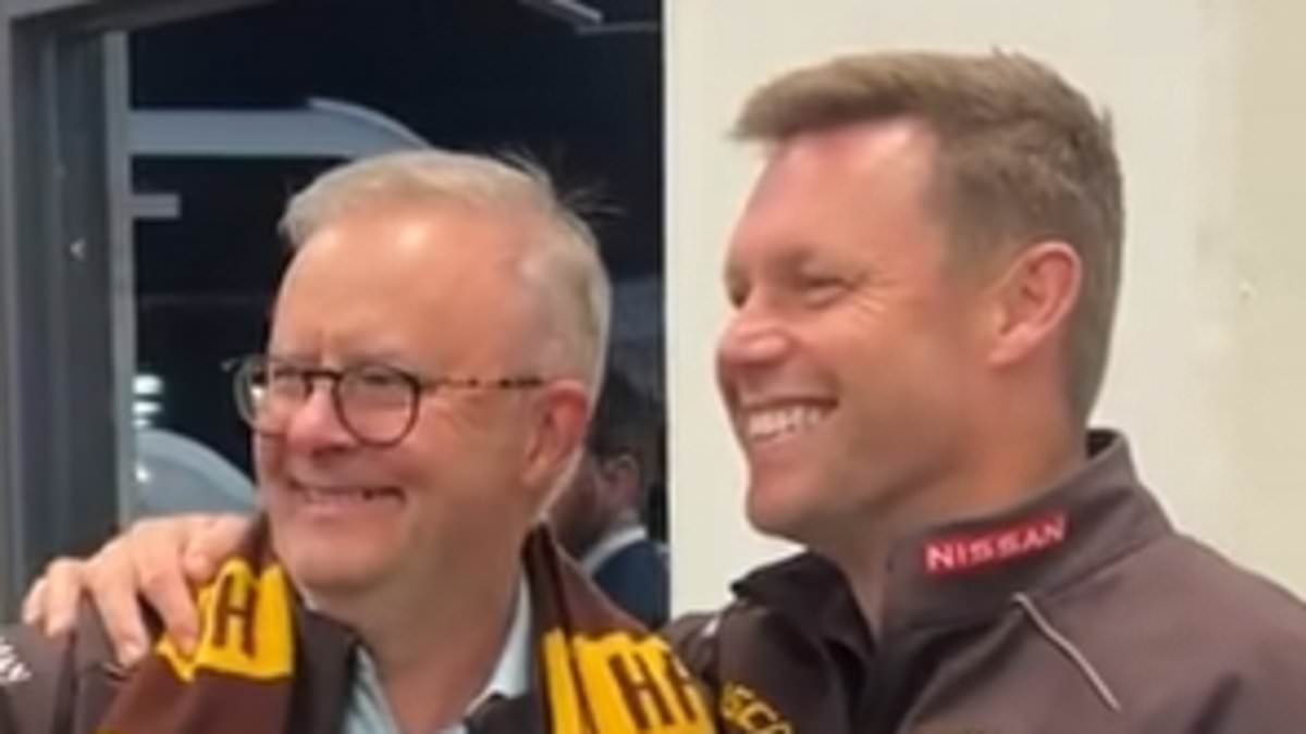 Albanese criticised after selfie with Hawthorn coach during elimination final
