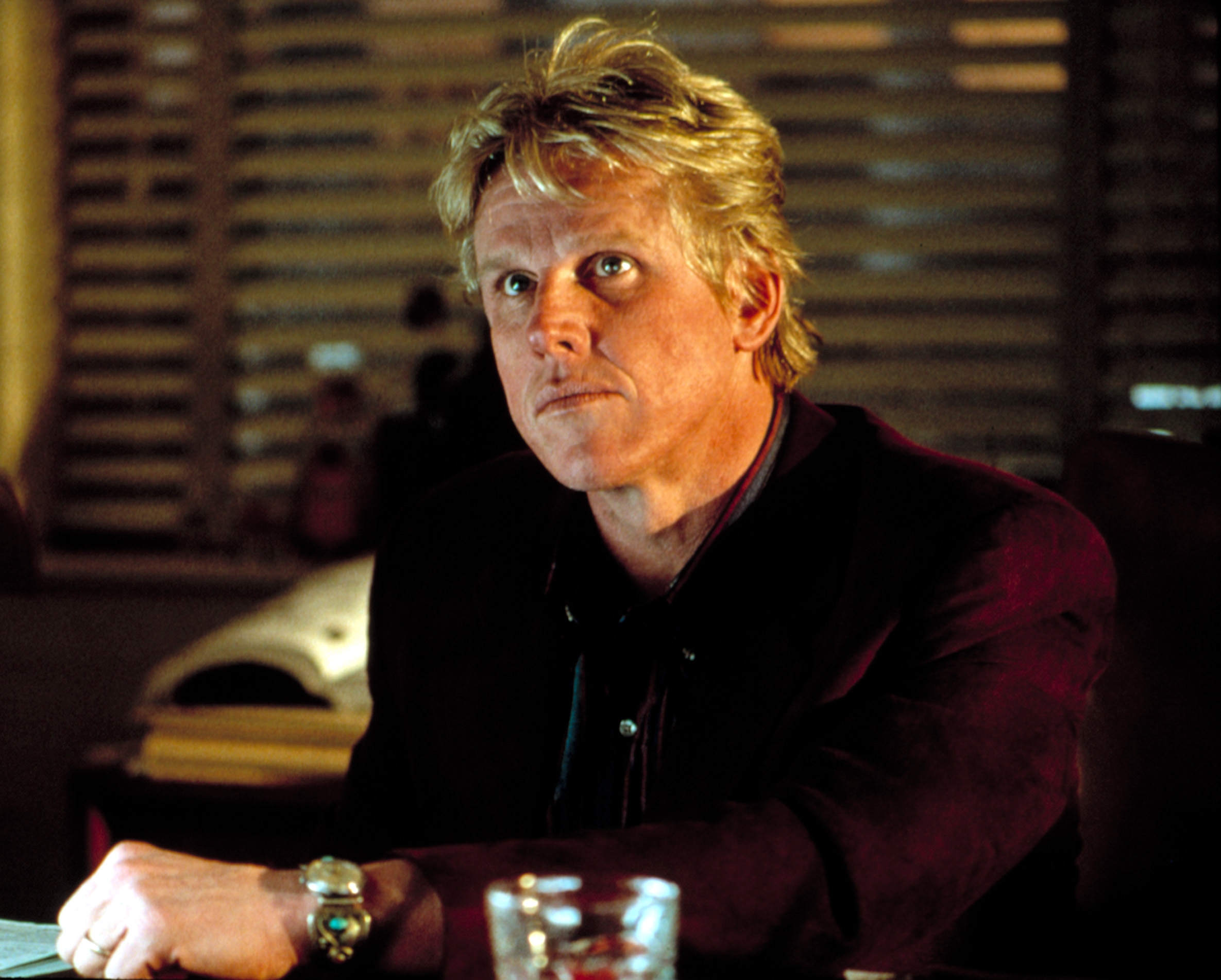 Gary Busey 1993 portrait