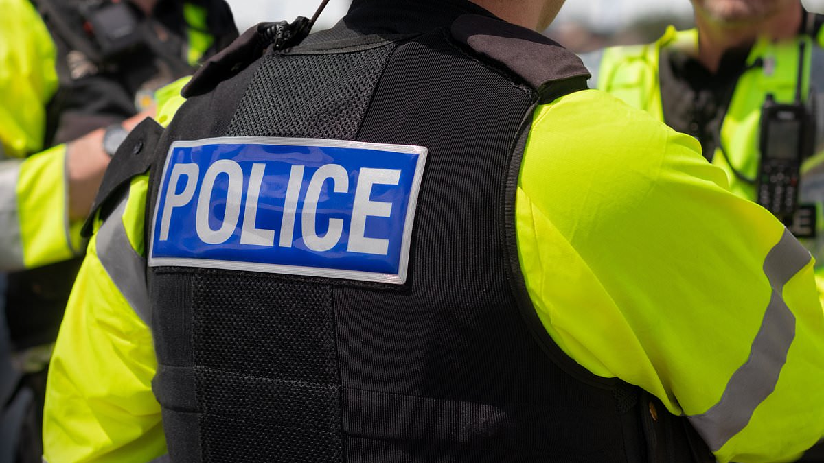 Police officer, 24, dies after being struck by car while responding to road crash