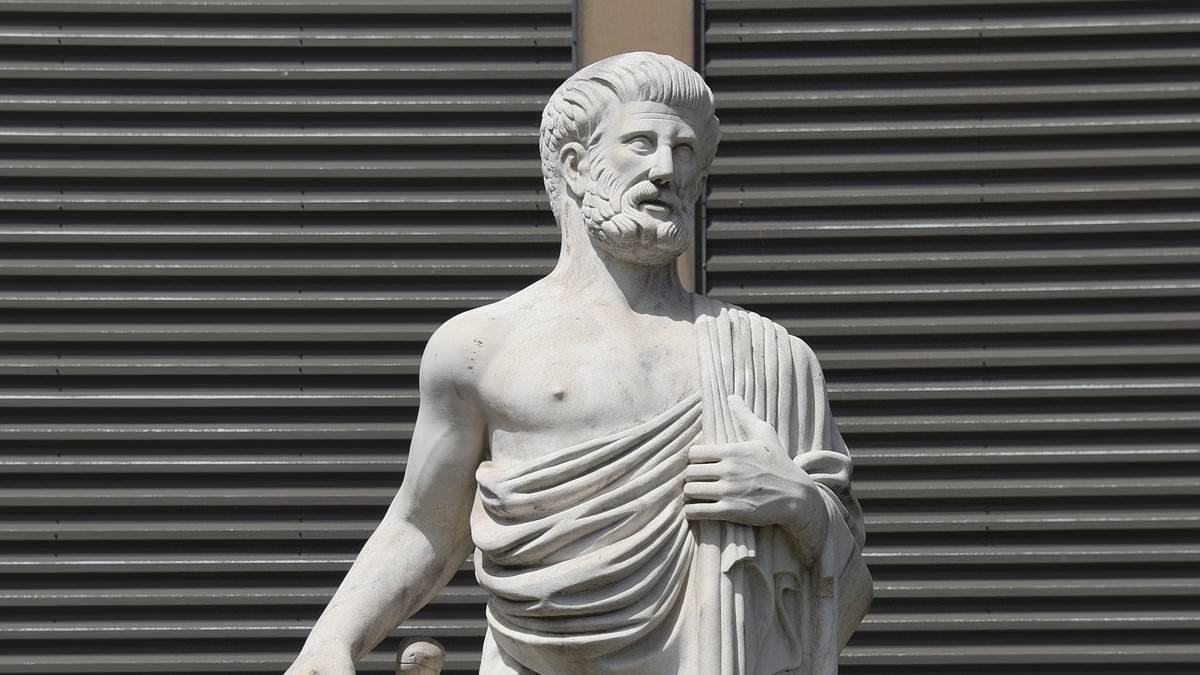 From onion mixtures to hair transplants: a history of hair-loss cures