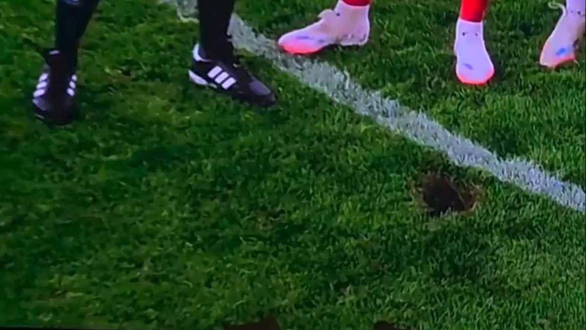 World Cup qualifier paused after sinkhole opens on pitch in Linz
