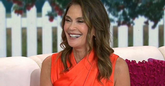 Teri Hatcher reveals why she passed on Real Housewives: 'All I do is clean cat litter'