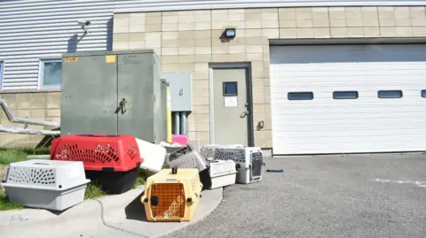 14 Shelter Workers Hospitalized After FBI Burns Seized Meth at Montana Animal Shelter