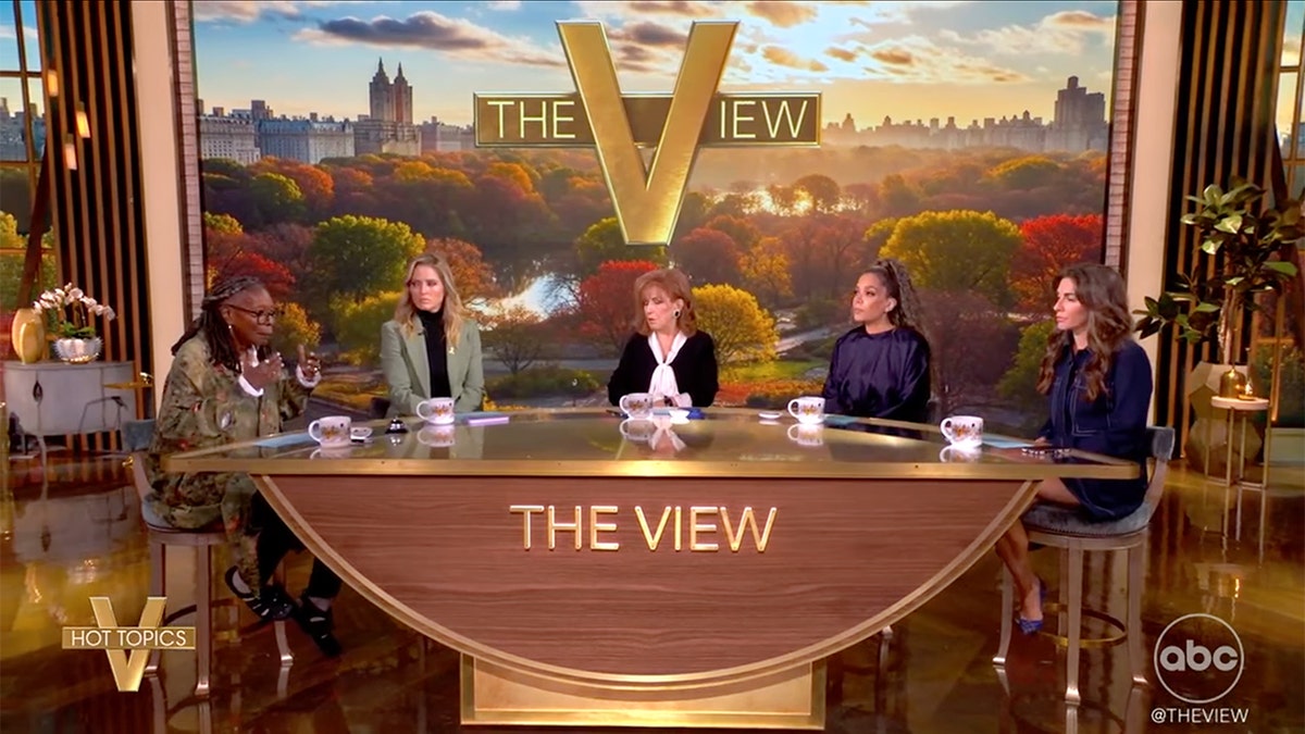 ABC The View coverage
