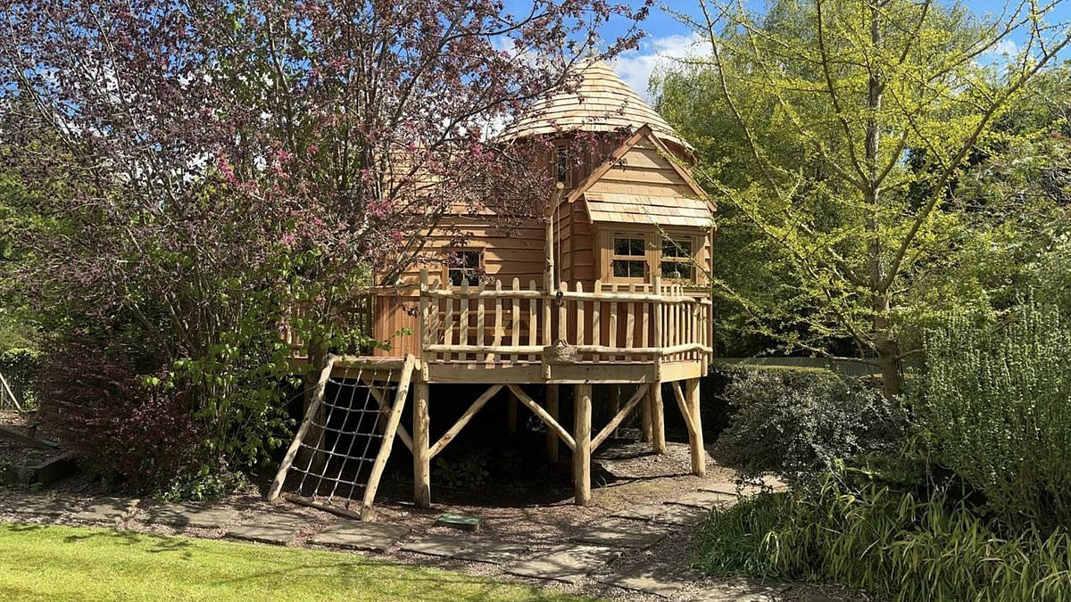 Expelliarmus! Planning inspector orders demolition of giant Harry Potter tree house at £1.2m Hertfordshire mansion