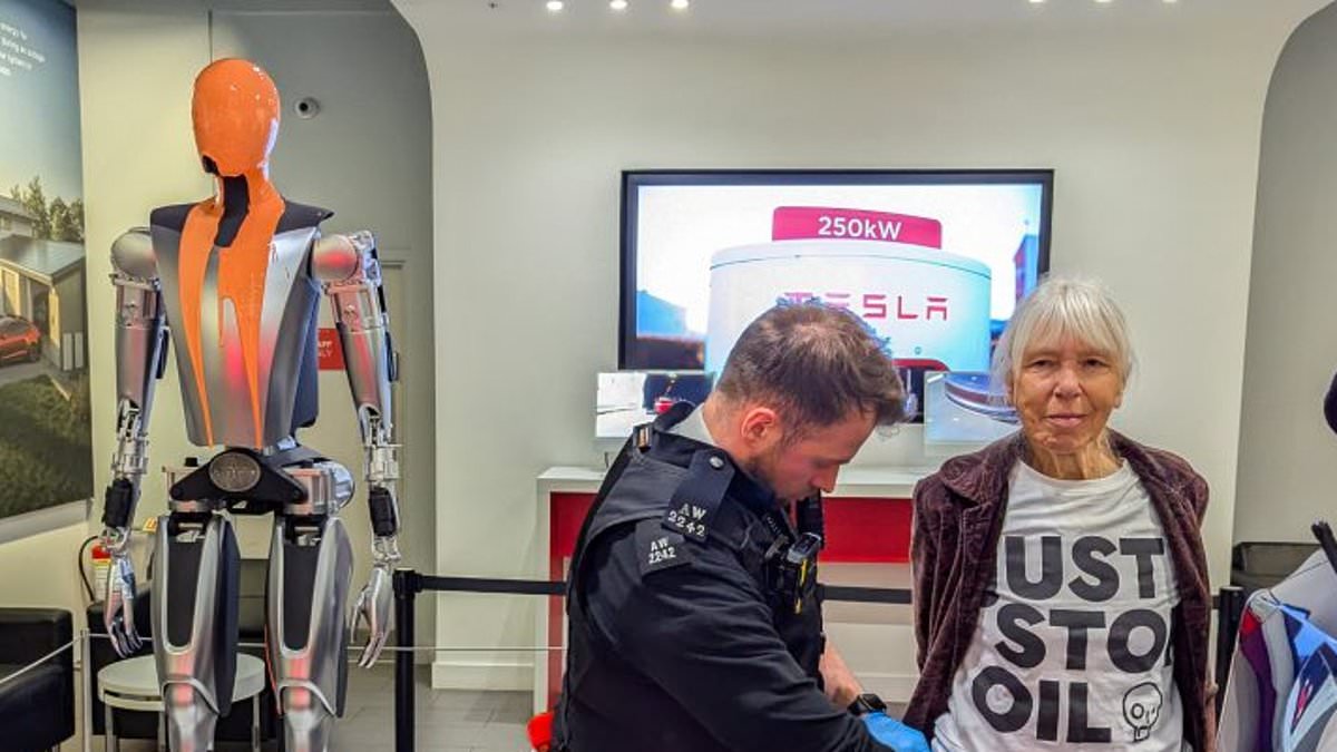 Just Stop Oil activists deny criminal damage after orange paint on Tesla robot at Westfield showroom