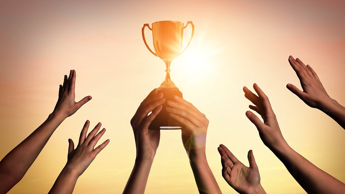 How to build an investment portfolio from scratch, experts say ETFs are the ideal foundation