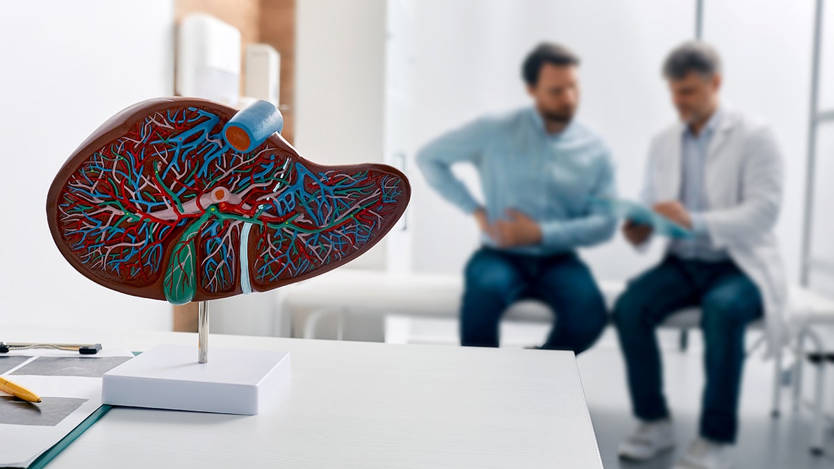 Hepatitis B in the spotlight: vaccines, risks, and policy talks this week