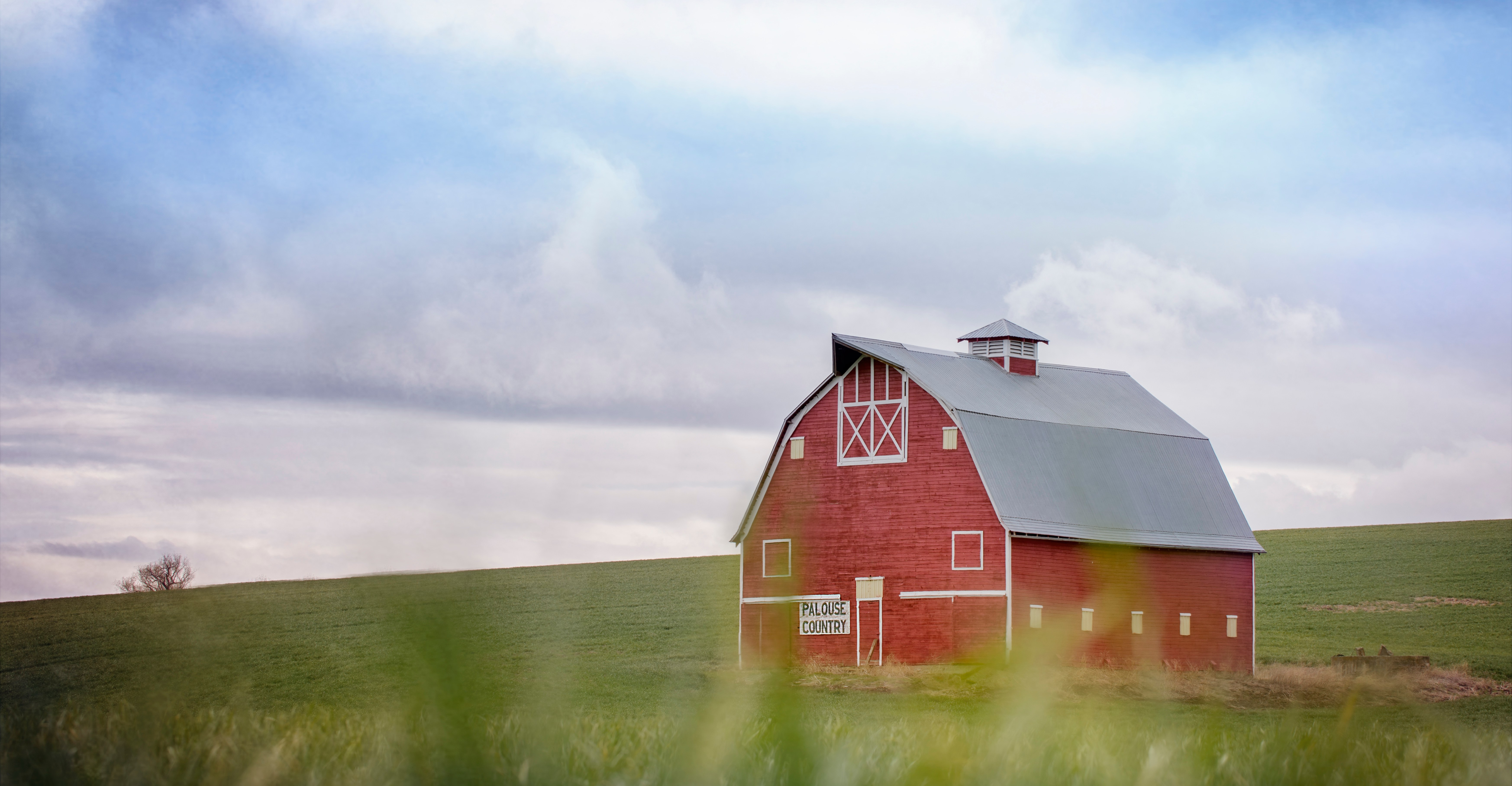 Rural farm landscape with barn and livestock
