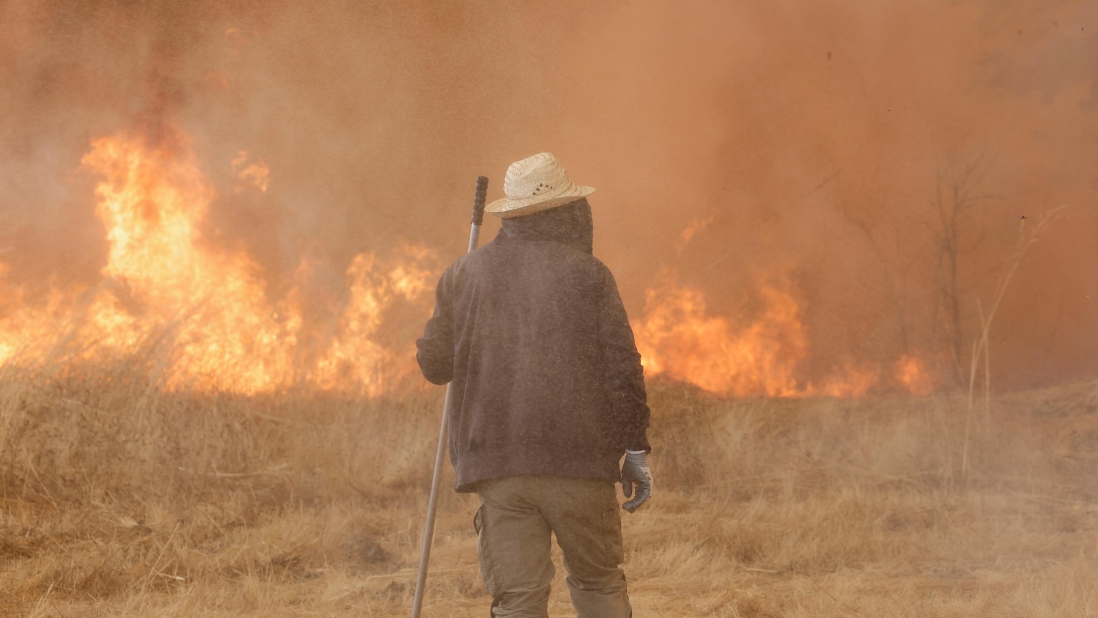 Study: Climate change made Iberian wildfires 40 times more likely
