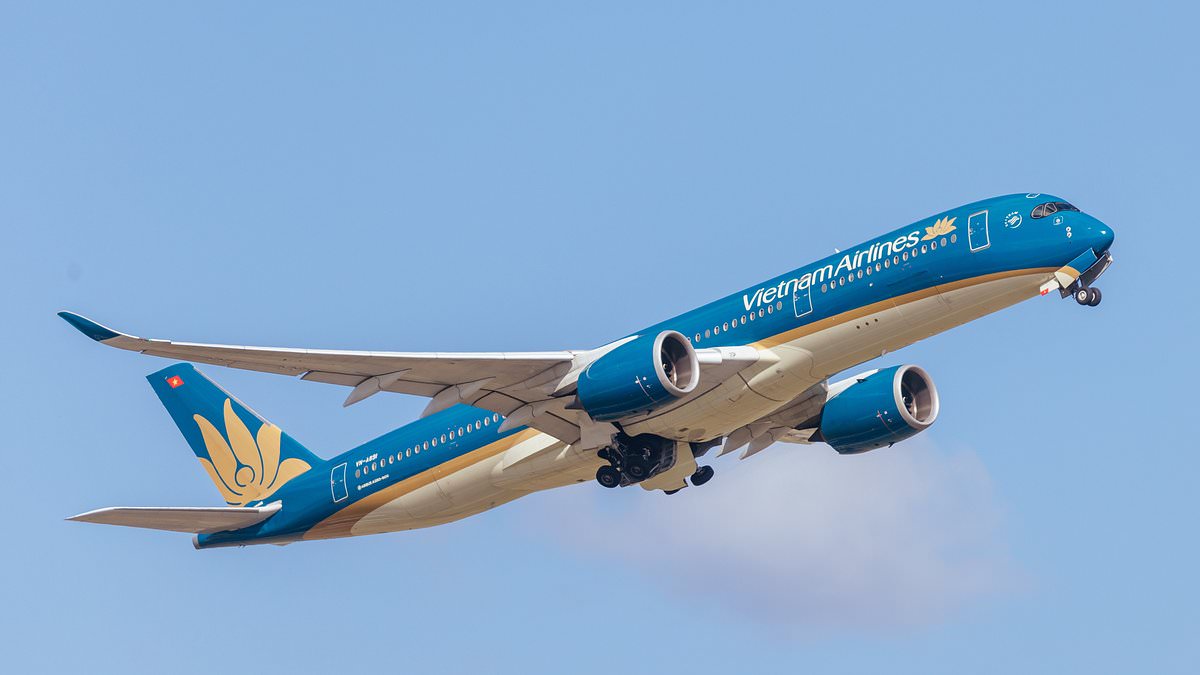 Vietnam Airlines and Vietjet Bar Use of Power Banks Onboard Amid Lithium Battery Safety Concerns