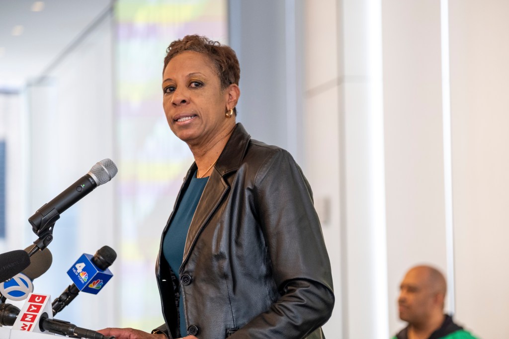 Bronx opposition and council chamber