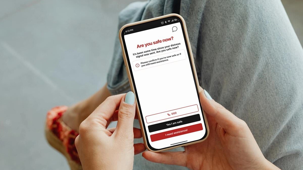 Silent emergency app pitched as potential lifesaver for domestic violence victims