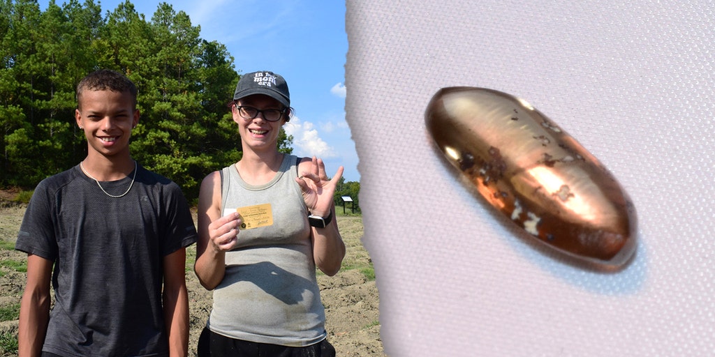 Oklahoma family finds 2.79-carat brown diamond at Crater of Diamonds State Park