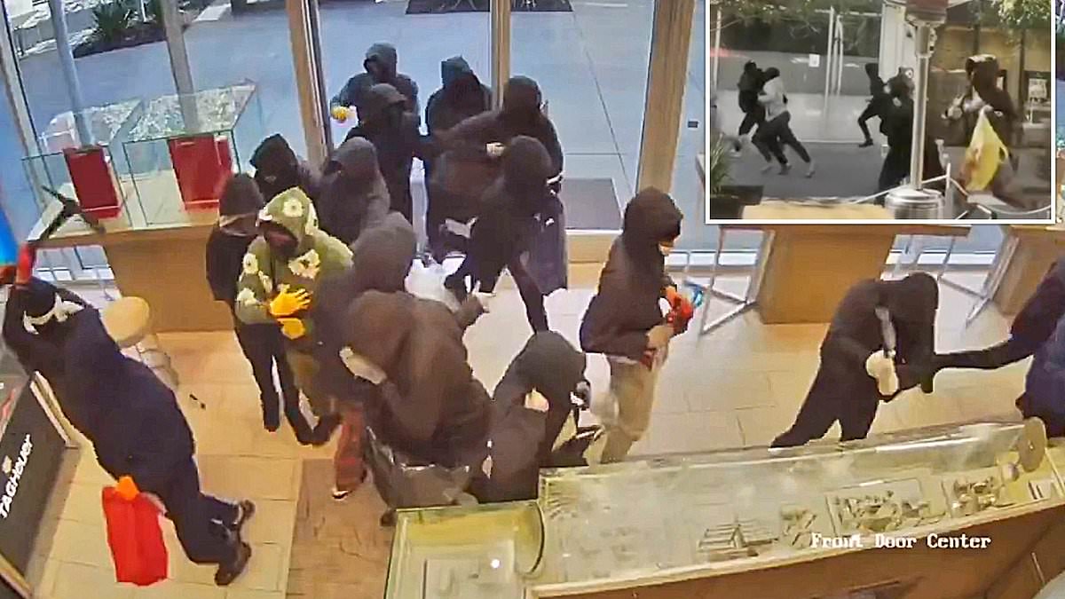 Bay Area jewelry store heist: about 20 robbers, $1 million in merchandise stolen in San Ramon