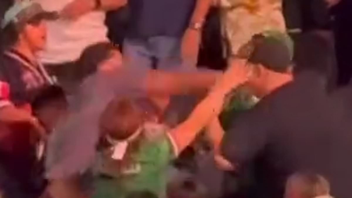 Violent brawl erupts among fans at Canelo Alvarez–Terence Crawford weigh-in in Las Vegas