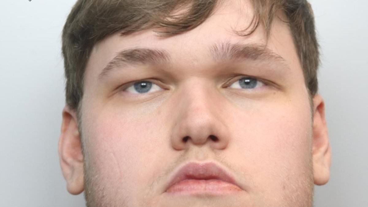 Catfish who posed as 14-year-old boy jailed for 14 years in UK grooming case