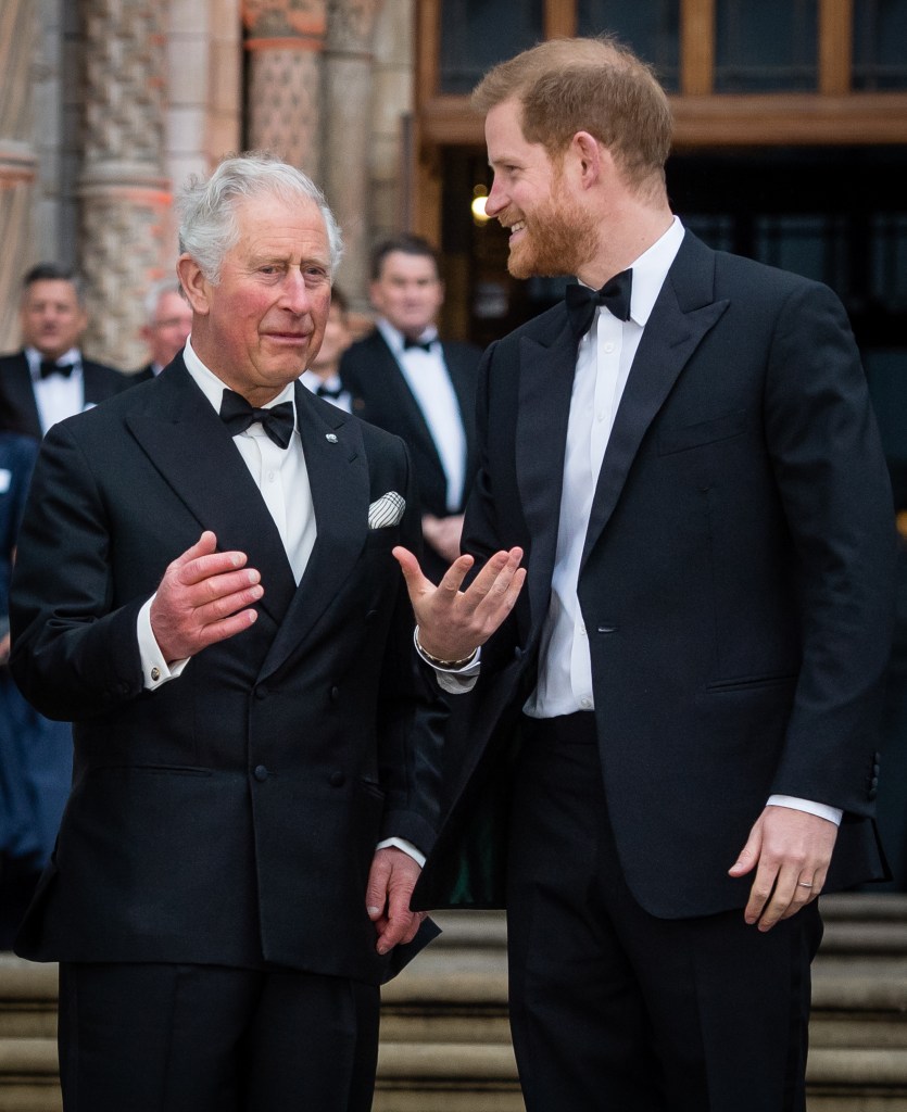 King Charles and Prince William at a public event