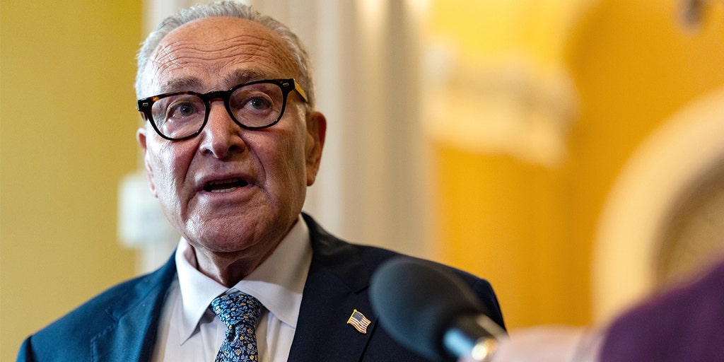 Schumer says he’ll keep talking to Mamdani, delaying NYC mayoral endorsement
