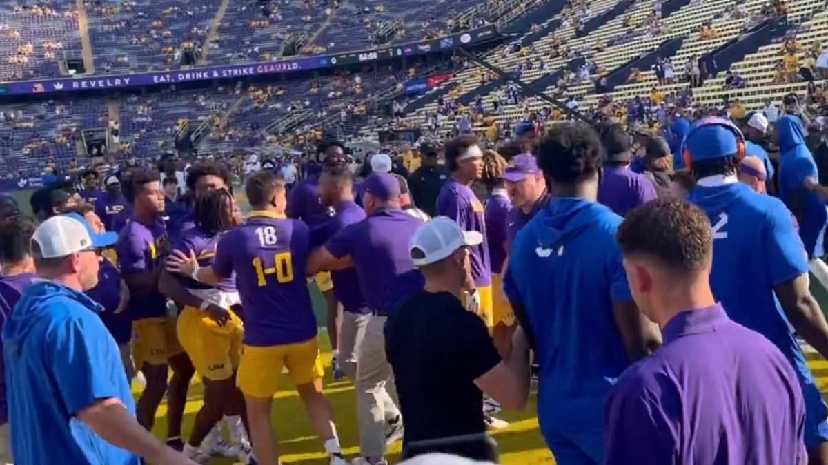 Warmups between LSU and Florida erupt into multiple scuffles before kickoff
