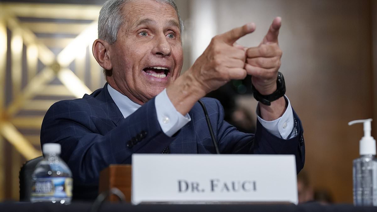 Sen. Rand Paul cites emails in push for Anthony Fauci to testify, says messages directed staff to ‘delete’ communications