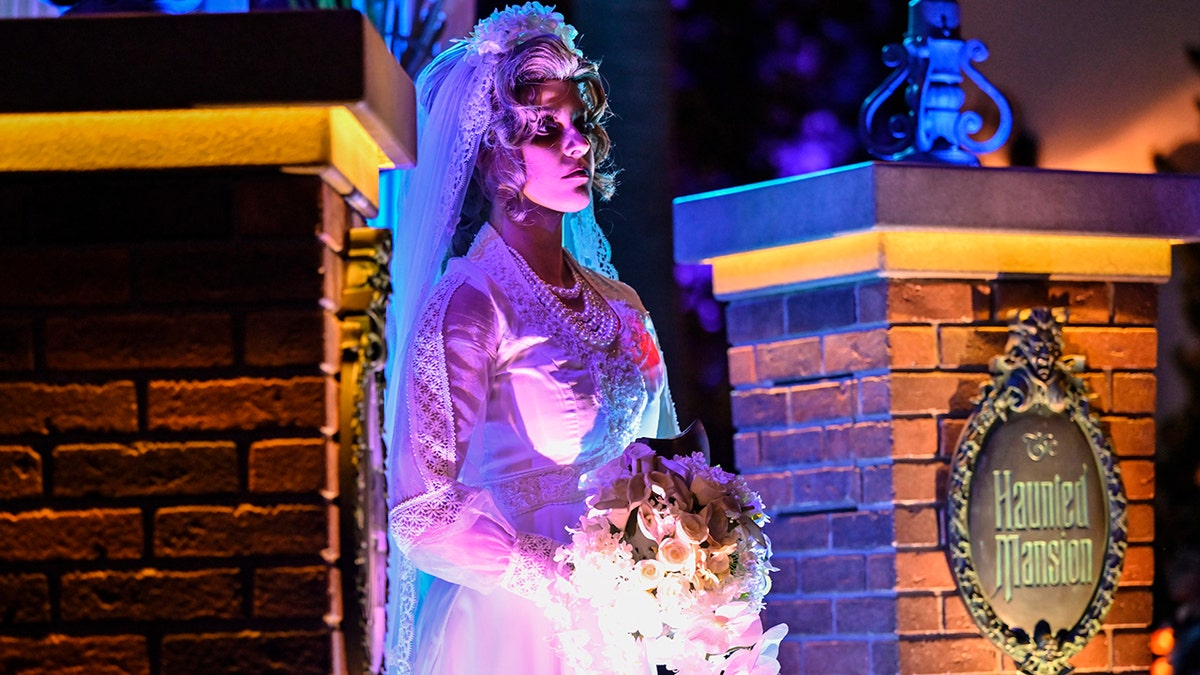 Disney Adults: A Subculture of devotion reshaping parks, weddings, and travel