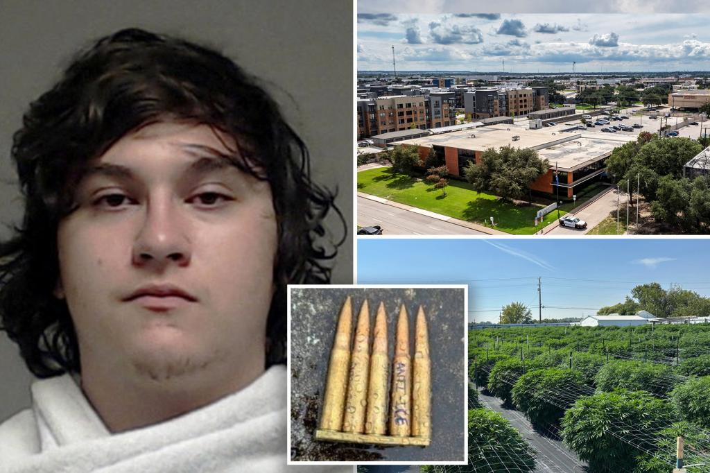 Dallas ICE facility shooting raises questions as motive remains under investigation