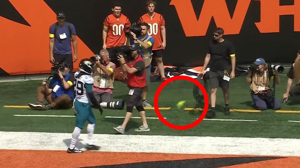 CBS Mistakenly Signals Penalty After Sex Toy Thrown During Bengals-Jaguars Game