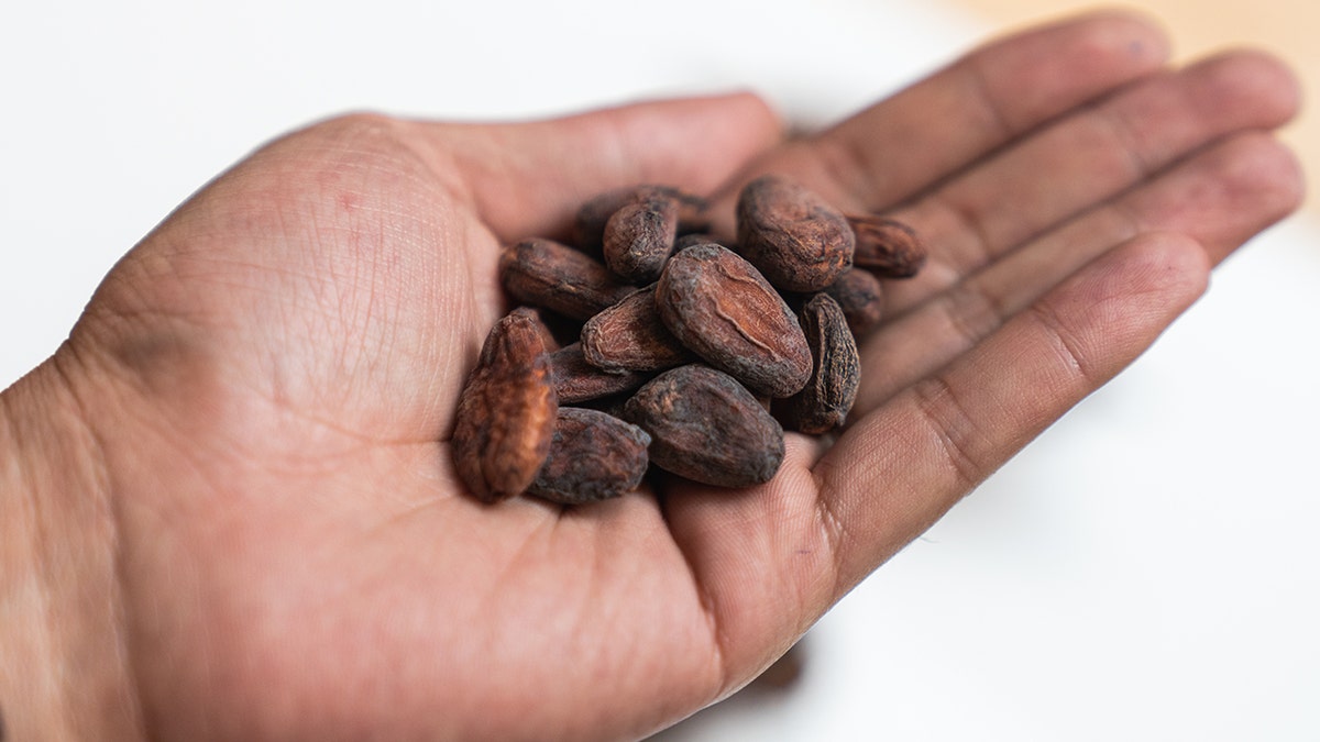 Cocoa extract may slow aging process in older adults, study finds