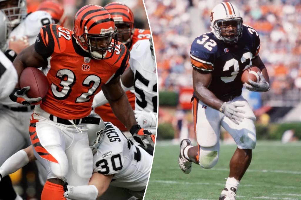 Former Bengals running back Rudi Johnson dies at 45 in suicide