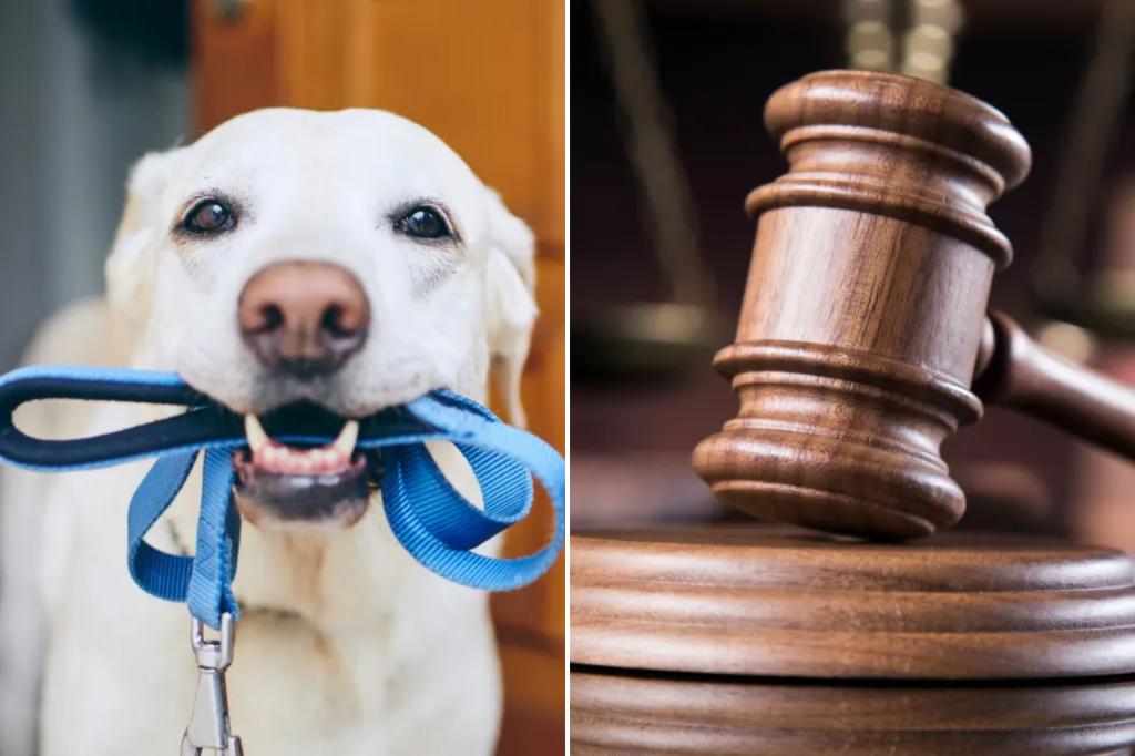 Pennsylvania House passes pet-custody bill, seeks to treat pets as family in divorce