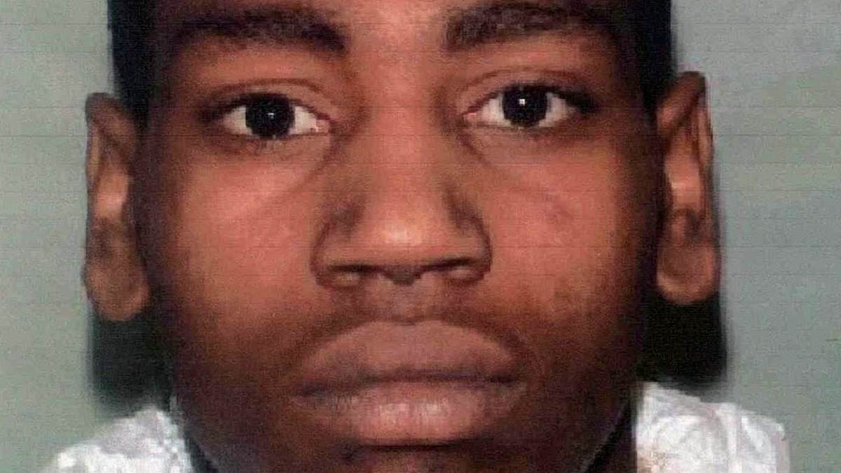 Carjacking killer who stabbed driver to death for his £20k Audi freed after deportation to Jamaica