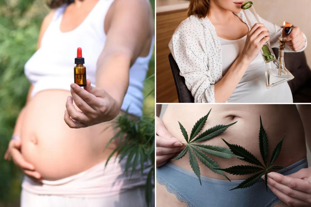 Cannabis use rises among pregnant women despite potential fetal risks