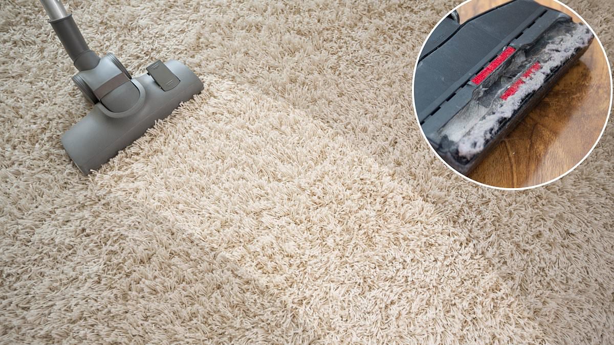 Experts outline how to clean your vacuum and prevent odors