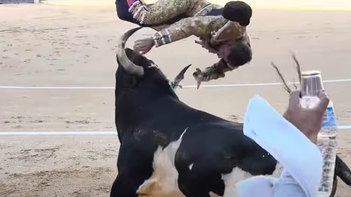 Matador gored through leg during Madrid bullfight; replacement fighter steps in as he is hospitalized