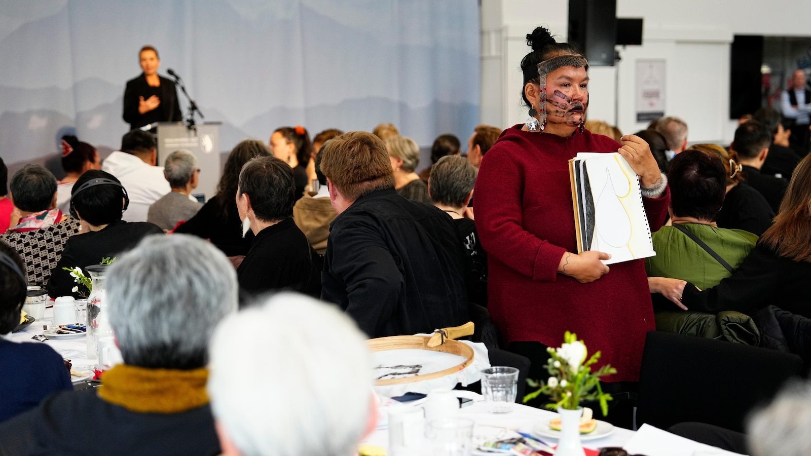 Denmark apologizes to Greenland Indigenous women for forced contraception