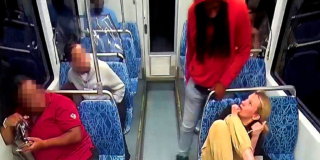 North Carolina GOP pushes 'Iryna's Law' bail bill after Charlotte stabbing