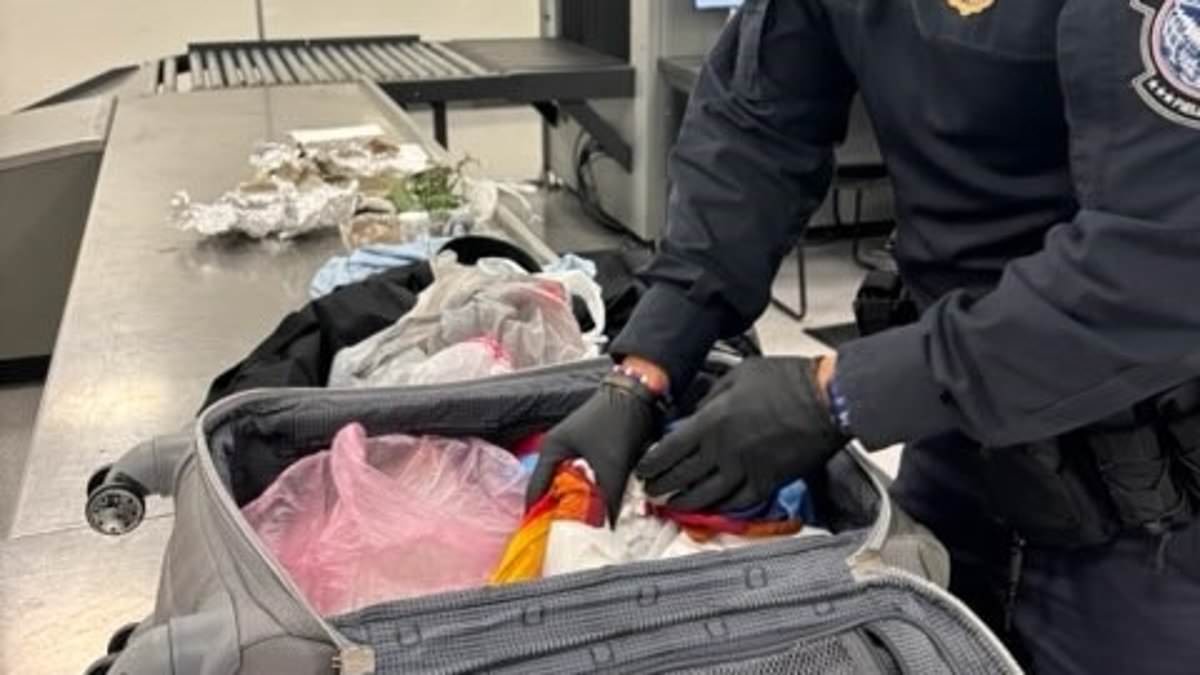 Traveler found with suspected human remains at Tampa airport says they were for rituals; bones destroyed by officials