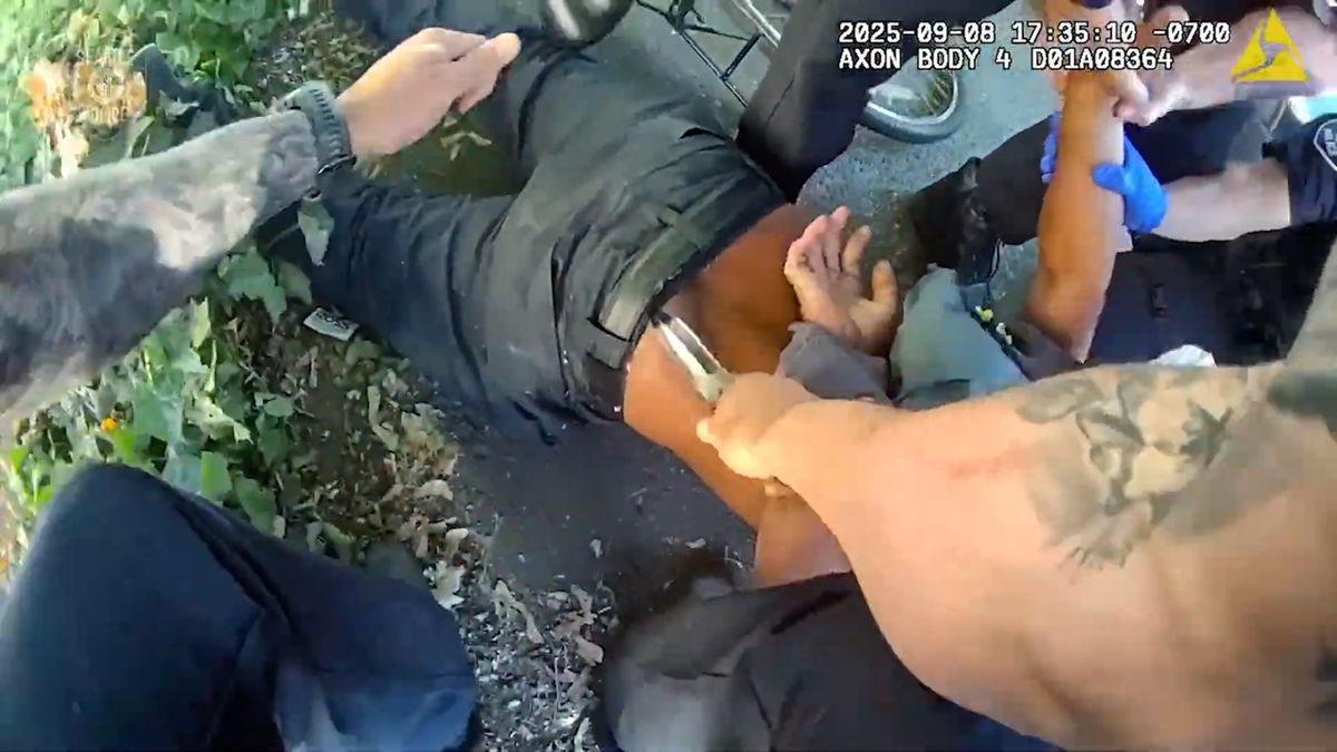 Seattle stabbing caught on video 2