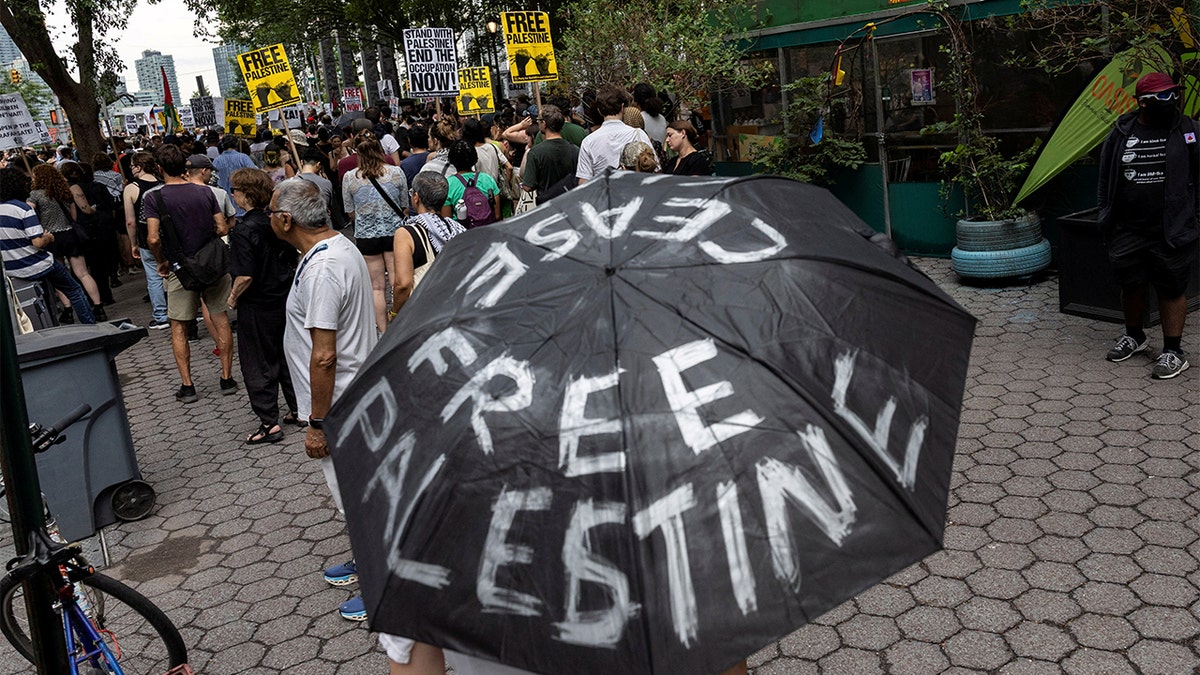 Palestine Gaza protest