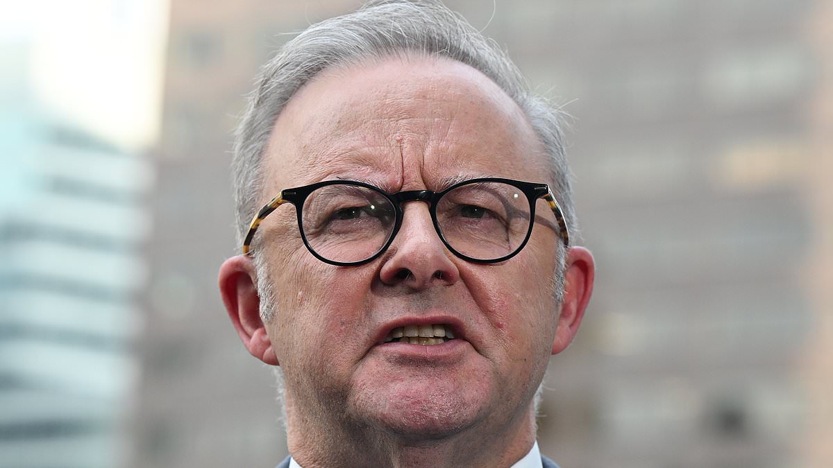 Albanese clashes with reporter over Trump joke in New York, sets stage for October Trump meeting