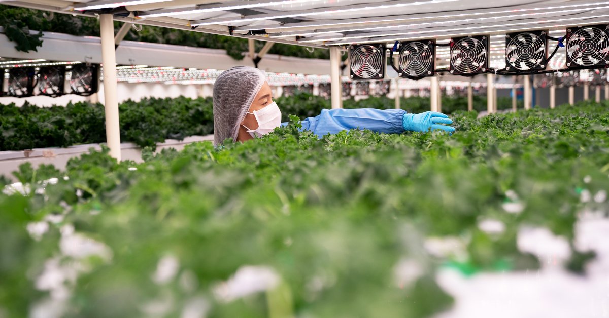 TIME seeks world's top GreenTech companies for 2026 in partnership with Statista