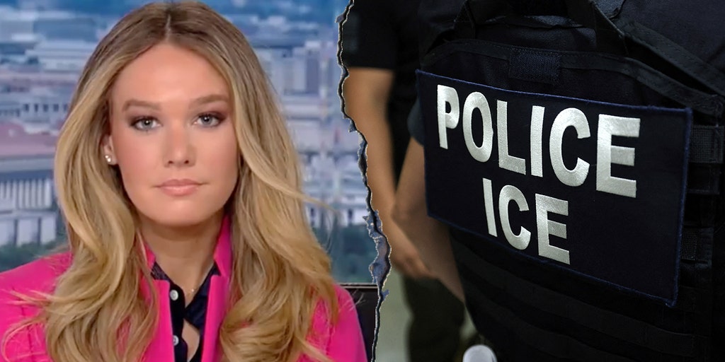 DHS pushes back on Senate Democrats over ICE detainee death claims