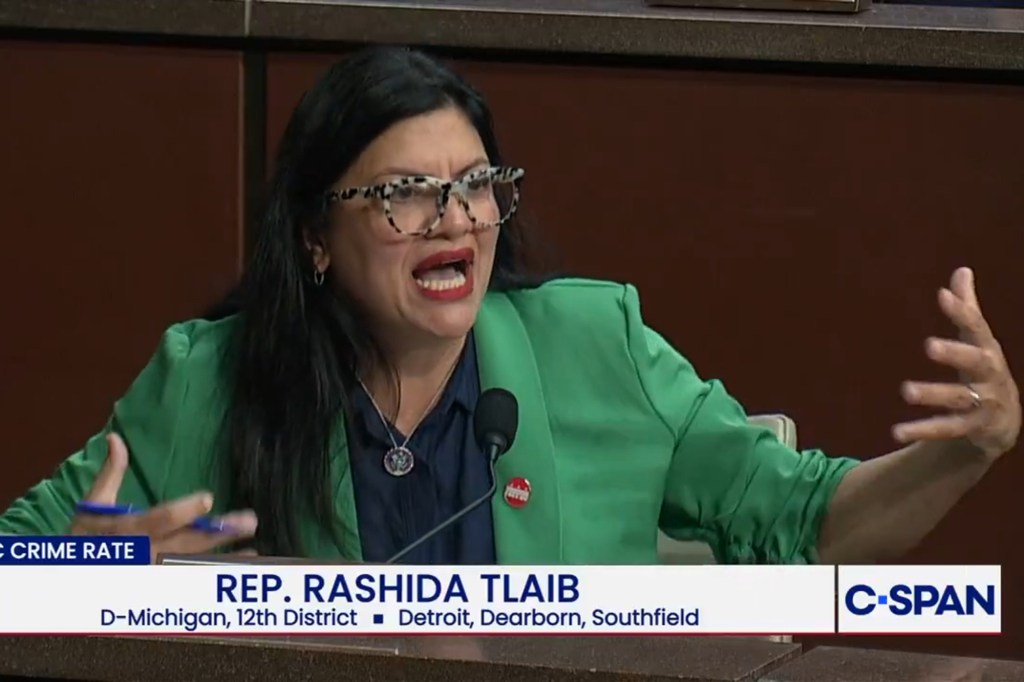 Donalds fires back at Rashida Tlaib after ‘fascist’ jab during Oversight hearing