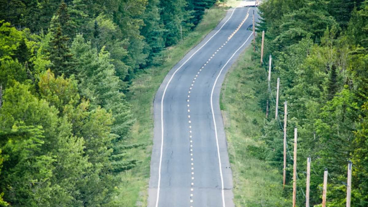 Three Women Vanish in Isolated Maine County, Sparking Fears of Serial-Killer Case